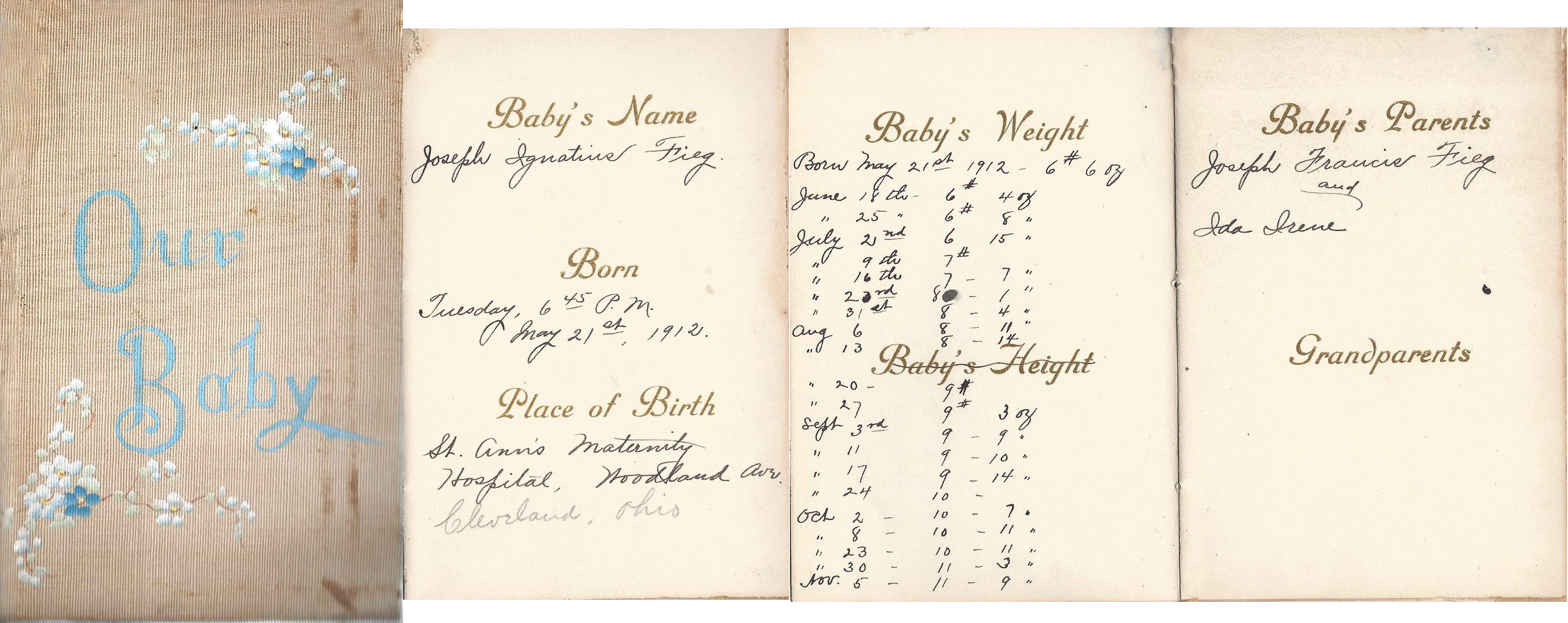 Family/Genealogy Records